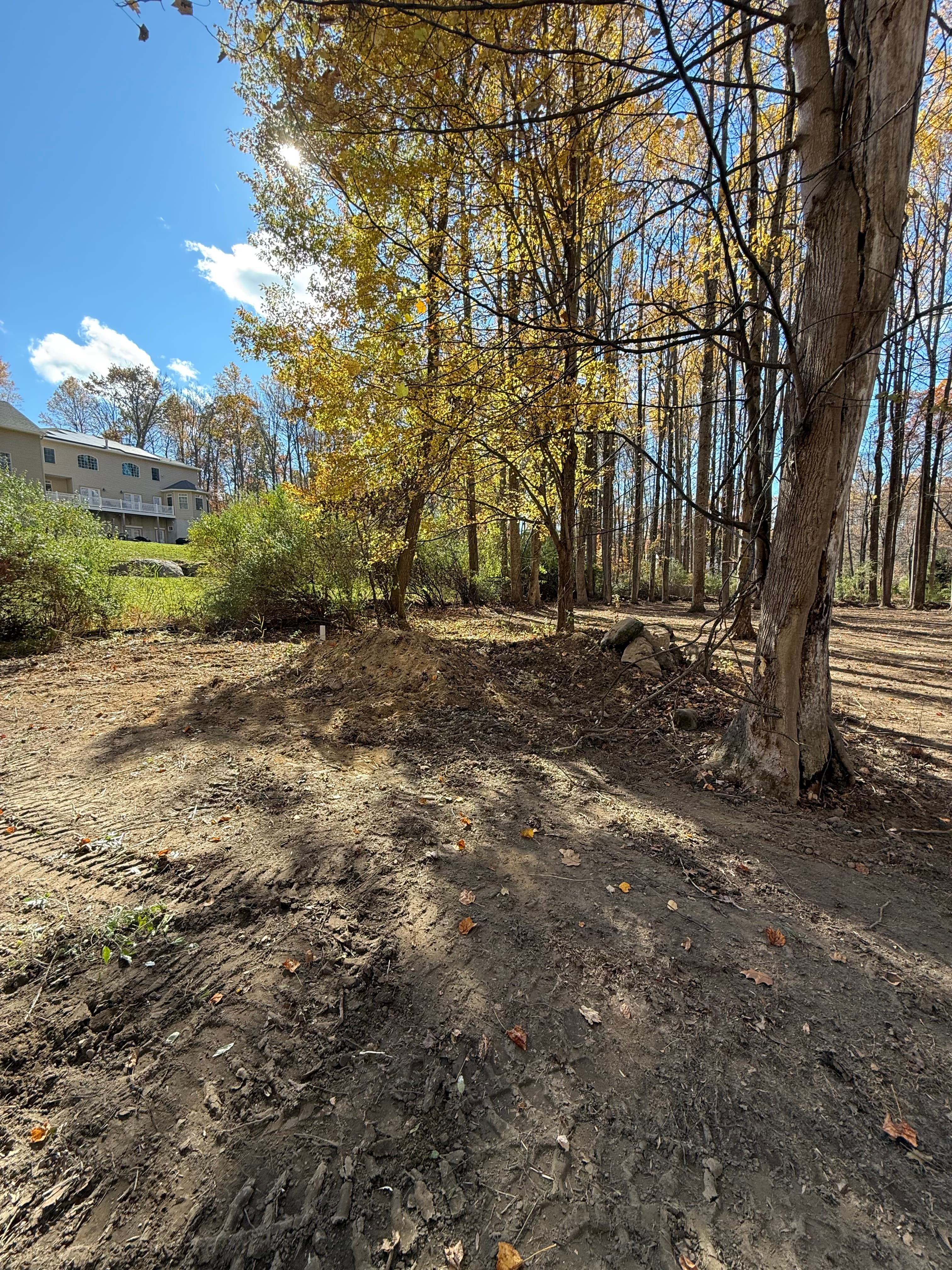 BSAN Excavation project 11 — excavation and land clearing work in NJ